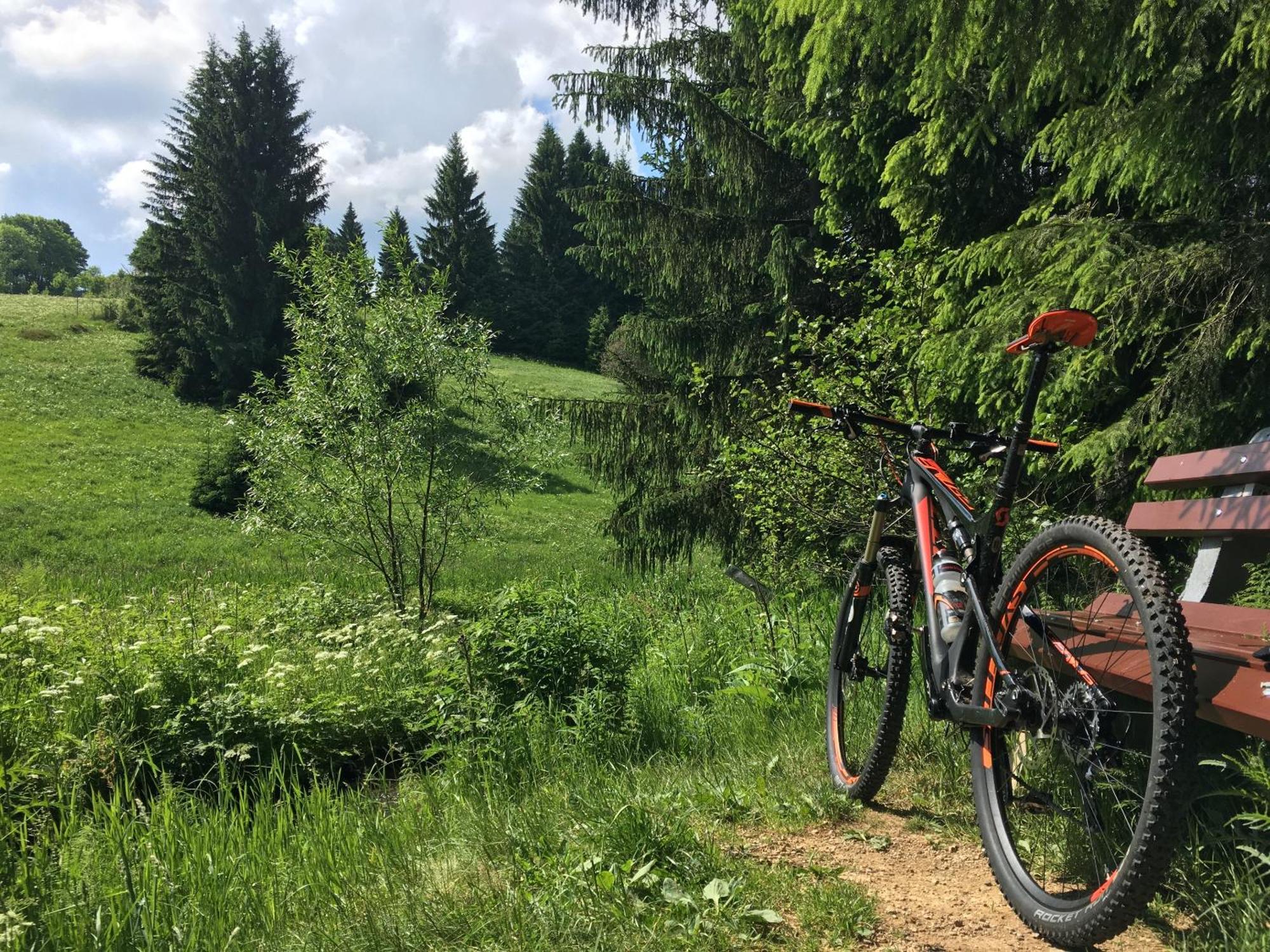 Ferienhaus Bikehuette Rehnhaeusl 盖辛 外观 照片